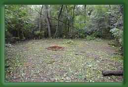 Keiths Eagle Project (16) * 1232 x 816 * (413KB)